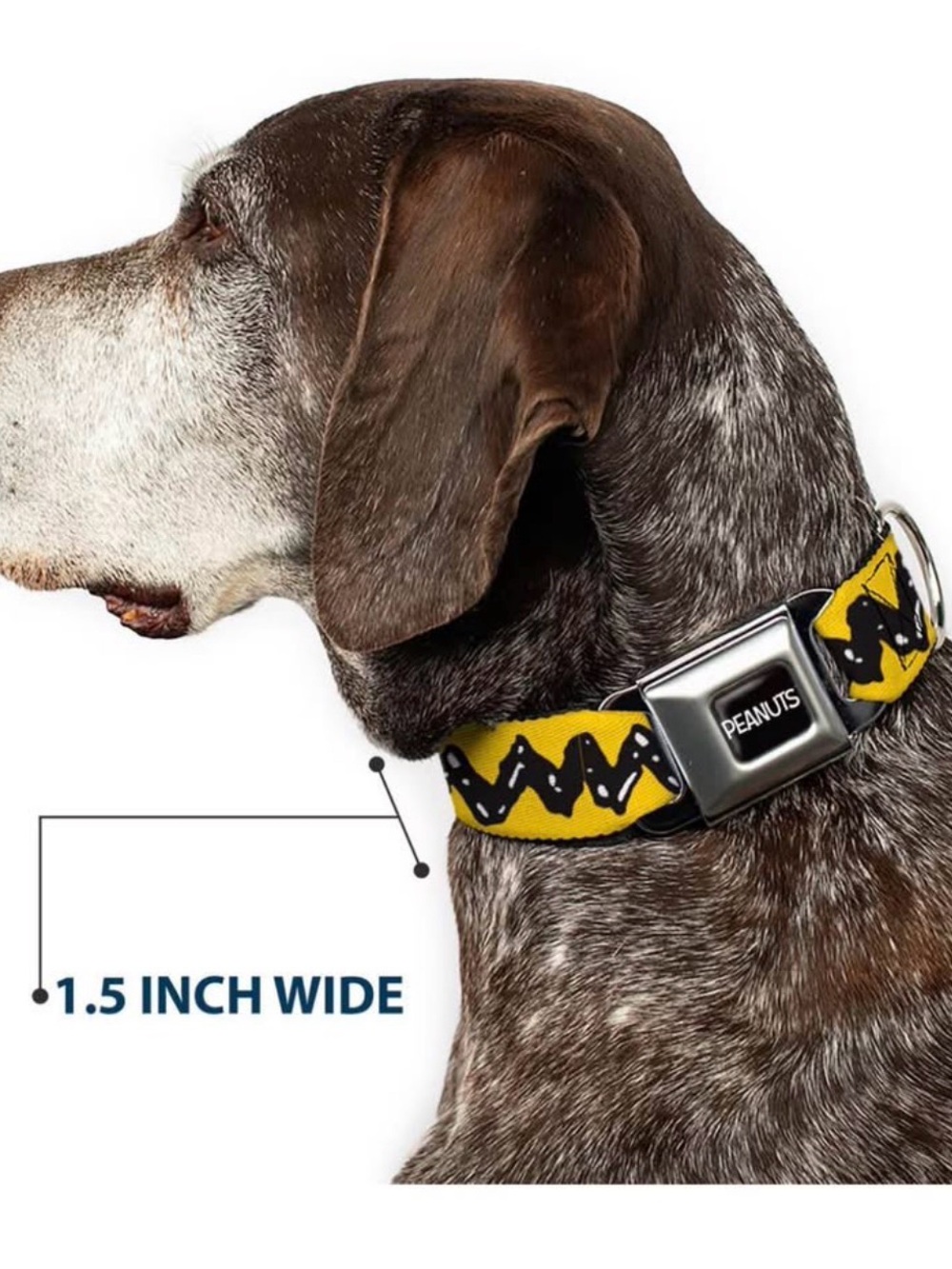 Peanuts Yellow Zigzag Pattern Dog Collar with Metal Buckle